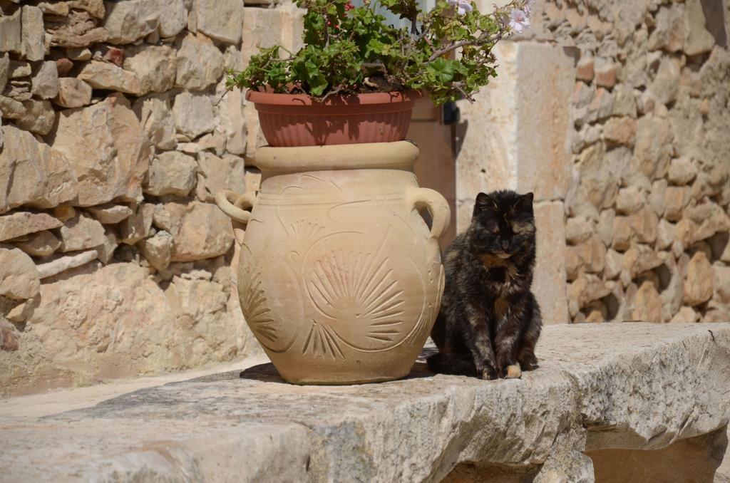 Casina Di Grotta Di Ferro Guest House Santa Croce Camerina Ngoại thất bức ảnh